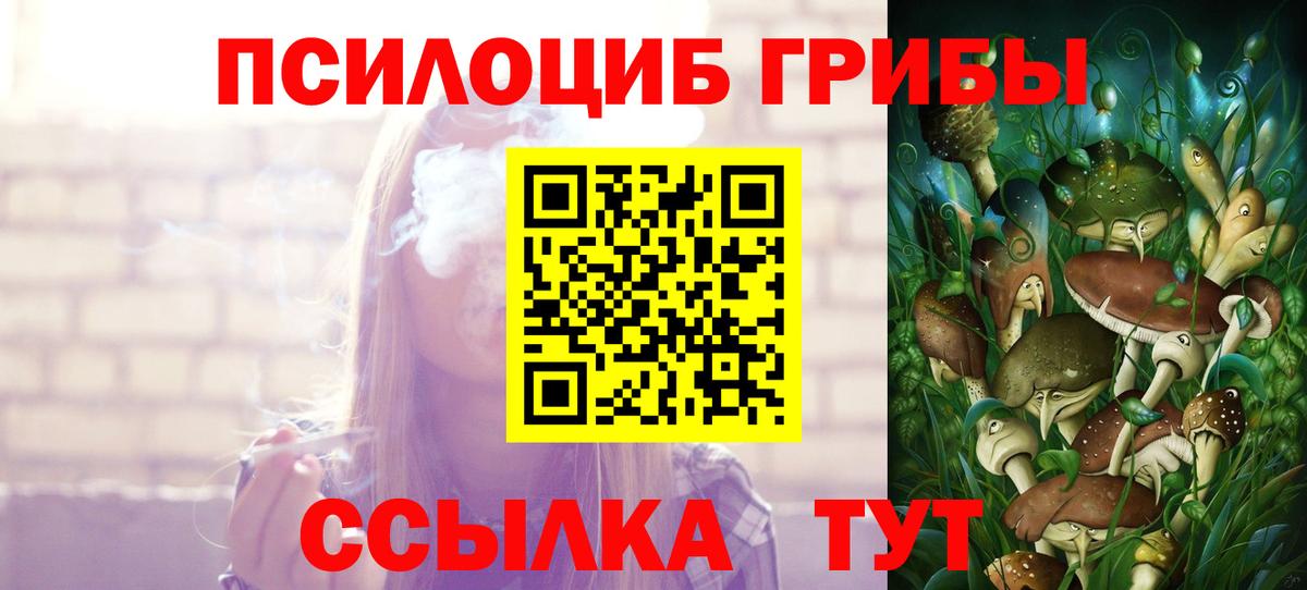 Псилоцибиновые грибы Psilocybine cubensis  Вход с VPN  Апатиты 